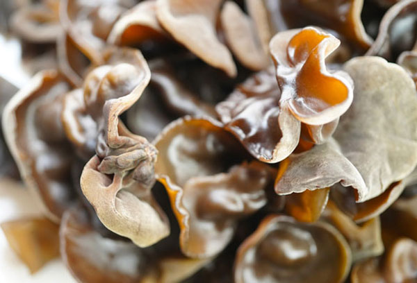 ��� �̹���