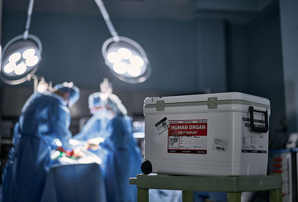 ��� �̹���