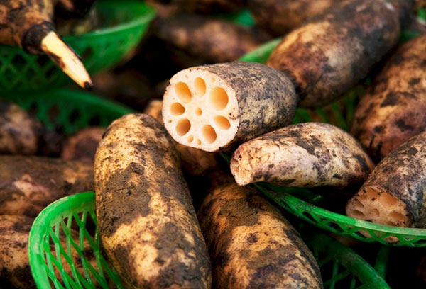 ��� �̹���