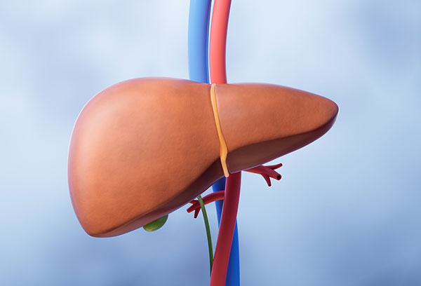 ��� �̹���