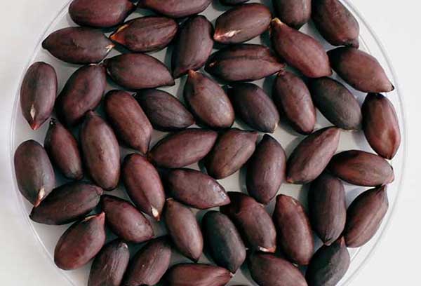 ��� �̹���