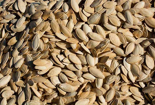 ��� �̹���