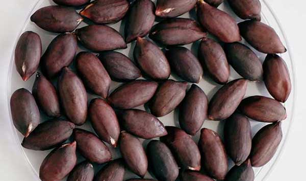 ��� �̹���