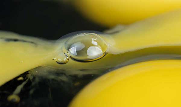 ��� �̹���