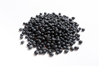 ���� �������� ���� ���� ���� '�̰�' ���� �����