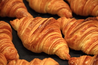 �ٻ��� ũ��ƻ� ���� �� ������ ����? ���� �����