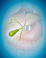 �ϼ��� �� '���̿� �ƹ�Ÿ' ���� ��ȿ Ȯ��.. ���� �����