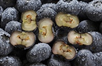 �塤�������� �����ִ� ���� �� �ˡ� ���� ���ϡ� �� ��.. ���� �����