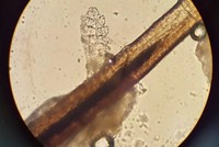 ������ ���� ������ ��ü �� ���⿡?�� 20�� ҳ ���� ��.. ���� �����