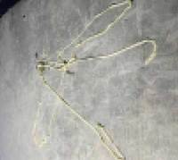 �躯 �� ���� 10m ����桦 ��Ʈ�� ��, �û��� '�� .. ���� �����