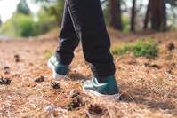 ���� ����ٴ� �������� �ȱ⡯ ��ǳ�� ��ü ����? ���� �����