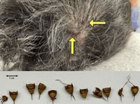 ����Ƴ� �� ������ ���� �� ���� ���� 70�� ҳ �ô���? ���� �����