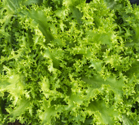 �峻 �̻���, �ٷ¿��� ���� �ش١� ���̰͡� �Ծ�� ���� �����