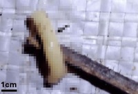 ���뺯���� ��Ʋ��Ʋ���� 40�� ��, ���̰͡� �����ٰ� ��.. ���� �����