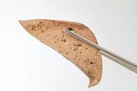 ���� ���� �ִٴµ��� �ӻ��, ������ ���� �Ծ ����.. ���� �����