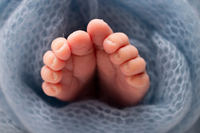 ��ü�� �����, ���� �ż� �������ߡ� ���� ũ�� ���� �����