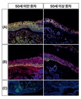 50�� �Ѿ� �ΰ������� �� ���ð� ������ ���İ� ���ϡ� .. ���� �����