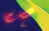 ��� ������ ������ ������ �ϡ� ��ü ����? ���� �����