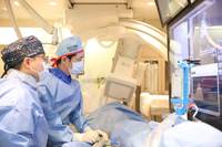 �Ｚ���ﺴ��, ���˵��� ������������ ���� ���� ���� ���� �����