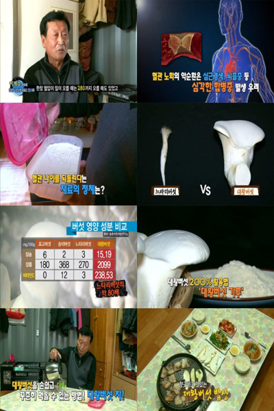 MBN '천기누설'에서 대왕버섯을 소개하는 모습