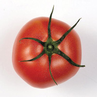 폐 기능 강화식품 중 하나인 토마토