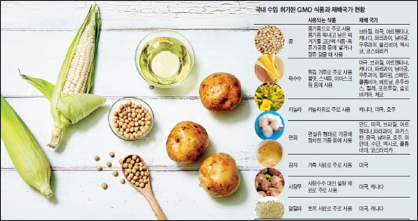 종류 gmo 식품 유전자변형식품, GMO
