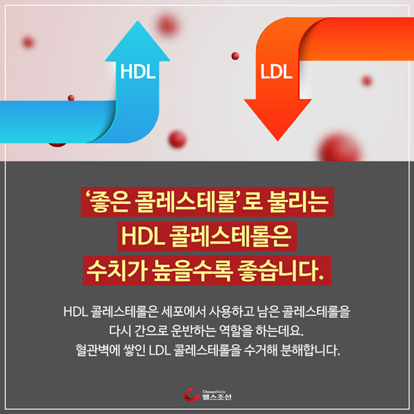 HDL과 LDL이미지