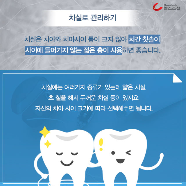 치아 및 치실 이미지