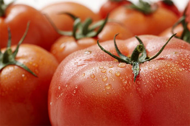 표면에 물기가 맺힌 토마토 여러 개가 놓여있다