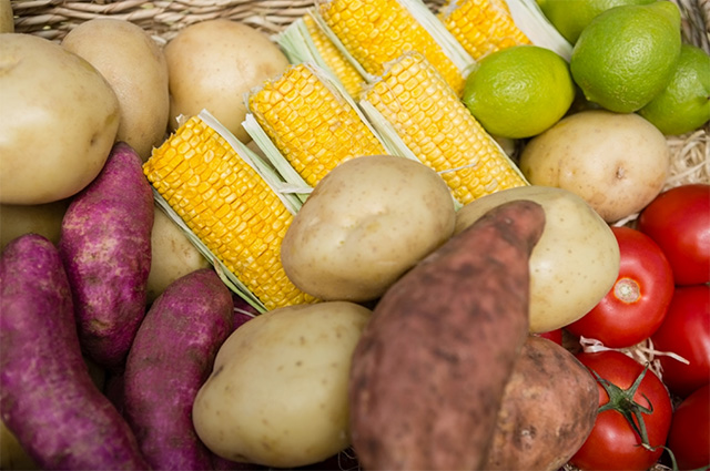 감자, 옥수수, 토마토, 고구마 등을 모아놓고 찍은 사진