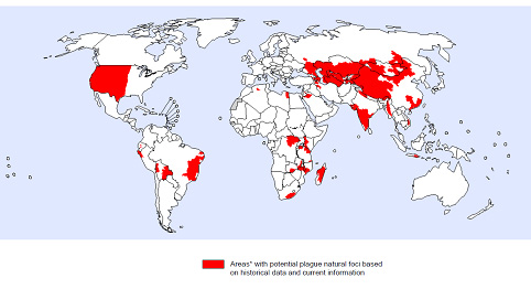 세계지도 중 흑사병 발생 지역 빨간색 표시