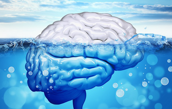물 아래로 가라앉는 뇌