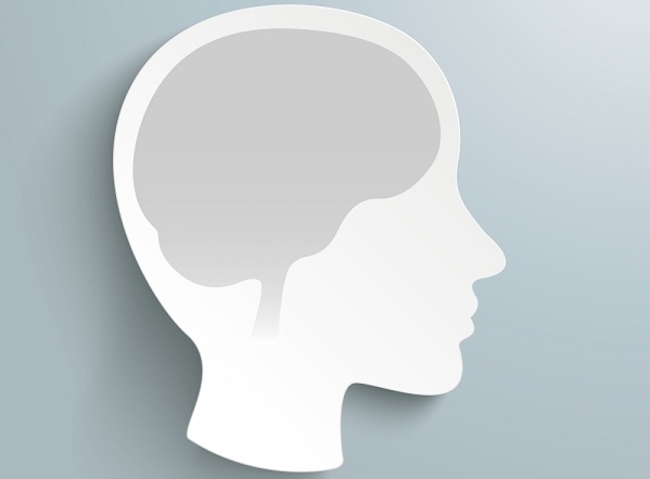 사람 머리와 안에 있는 뇌 그래픽