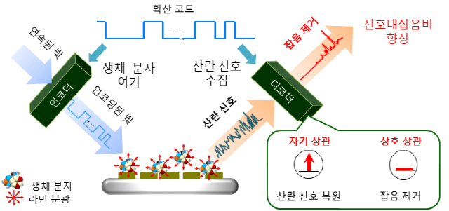 뿪Ȯ  б  䵵