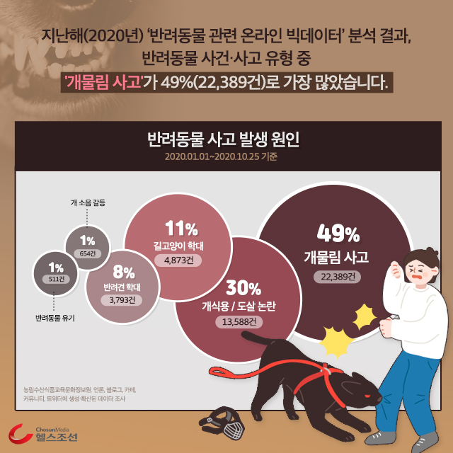 반려동물 사고 발생 원인 원그래프 이미지