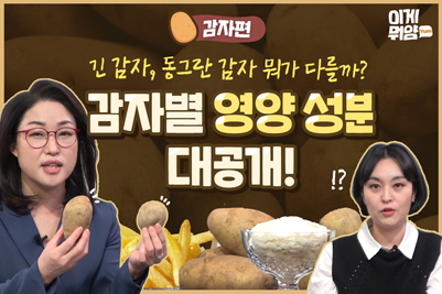 [이게뭐얌 TV]긴 감자, 동그란 감자 뭐가 다를까? 영양 성분 대공개!