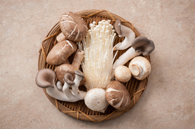 바구니에 담긴 다양한 종류의 버섯들