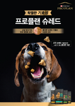 �׽��� ǻ���� �����÷�