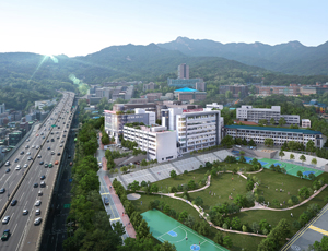 ������ �޵���̾� ��ũ ������