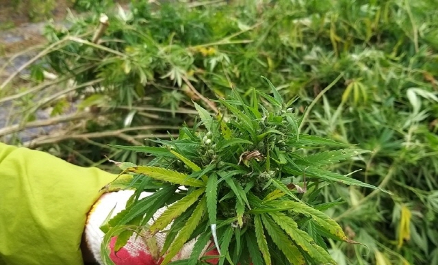 �븶����