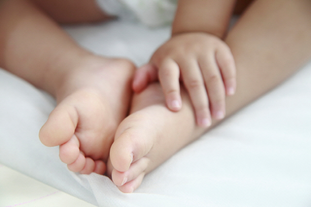 ħ�� ���� �ٸ�