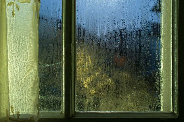 창문에 습기가 찬 사진