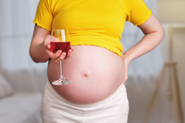 임신 중 술 한 잔… 태아 뇌 '이렇게' 바꾼다