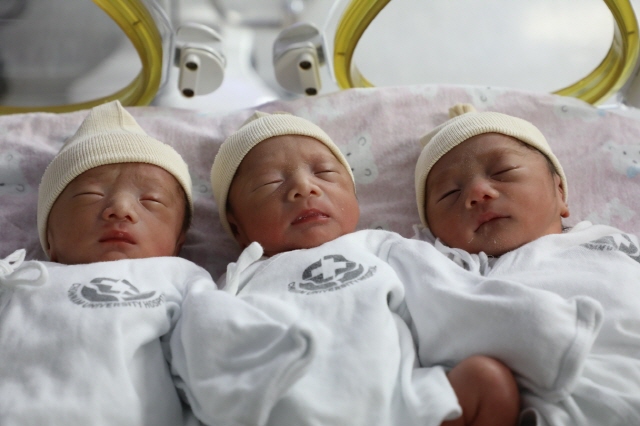 계묘년 첫 아기는 ‘삼둥이’… 세쌍둥이 태어날 확률은?