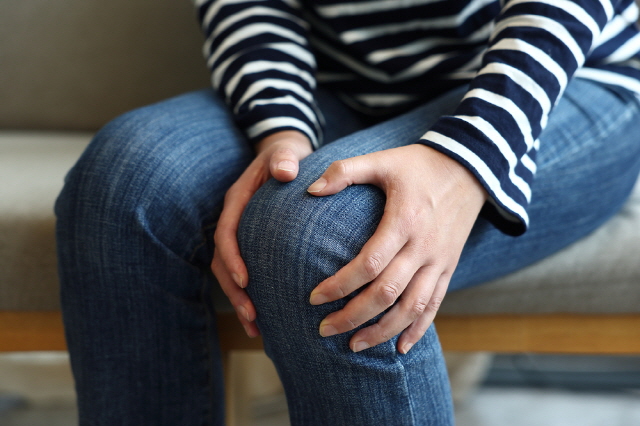 ���� ������ ���