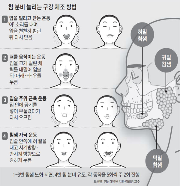 구강체조 그래픽-침샘분비동작