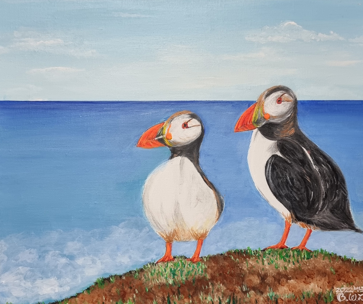 ̺ ڻ ǰ < ϴ ɻ(Puffin)> 38x45.5cm Acrylic on canvas 2022​