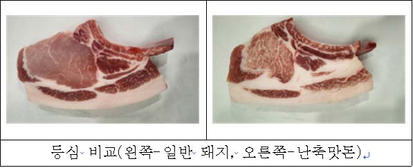 ������� �Ϲ� ���� ��