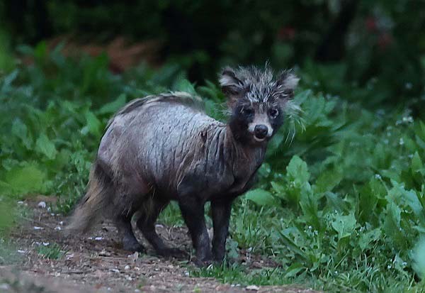 ������ ���� �ʱ��� �̹���