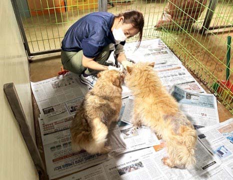 ����Ȱ�� ���� ��ȿ��